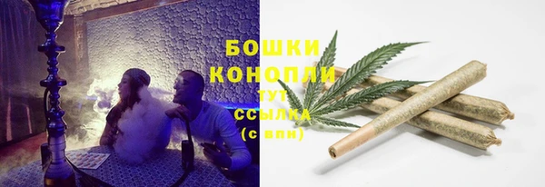 ALPHA PVP Снежногорск