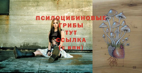 a pvp Абдулино