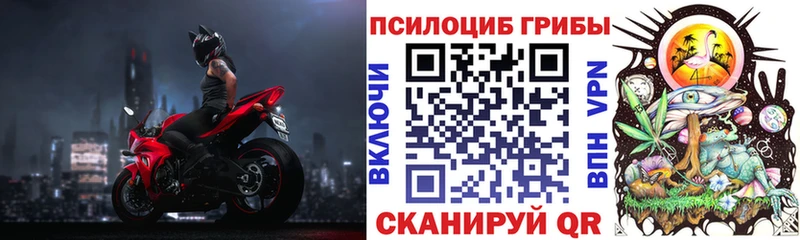 где найти   Емва  Псилоцибиновые грибы ЛСД 